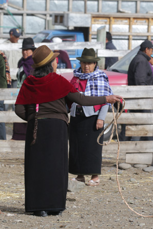 Veemarkt in Riobamba